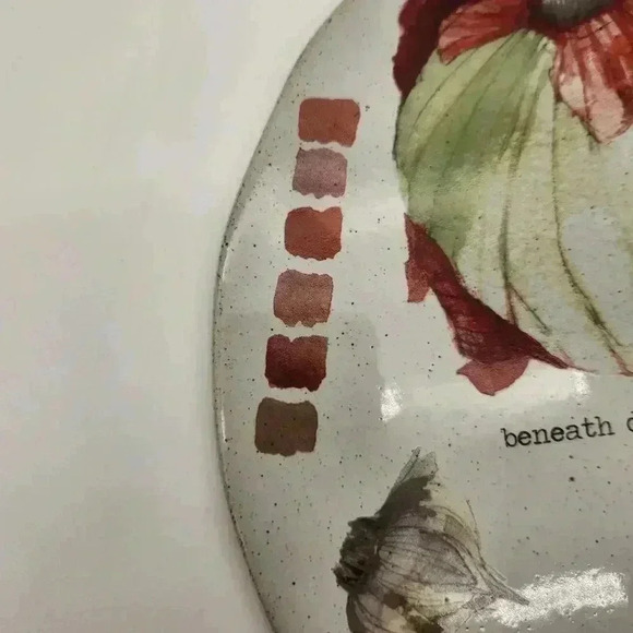 NWOT Rosanna Artist Sketchbook Farm To Table Collectable Ceramic Charcuterie‎ - Picture 5 of 8